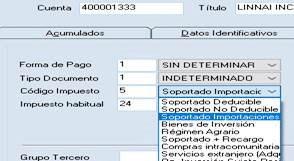 Soportado Importaciones contabilidad