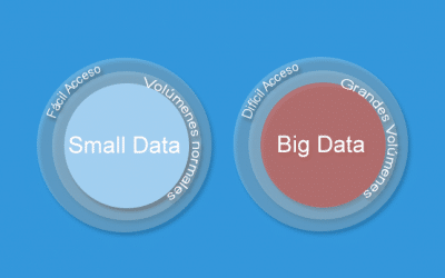 Big Data y Small Data